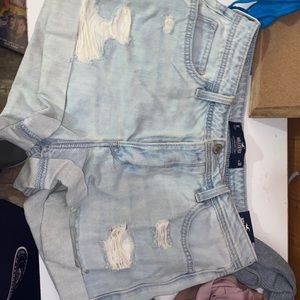 Hollister short NWT